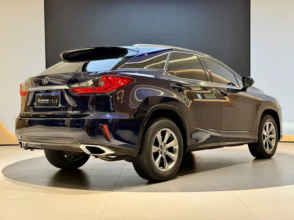 Lexus RX 2018 — фото 21