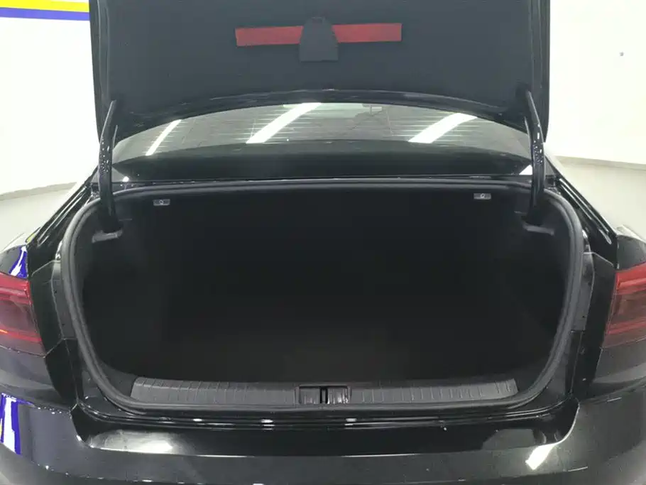 Volkswagen Magotan 2020