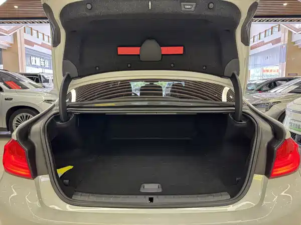 BMW 5 Series New Energy 2020