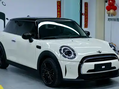 MINI MINI 2022