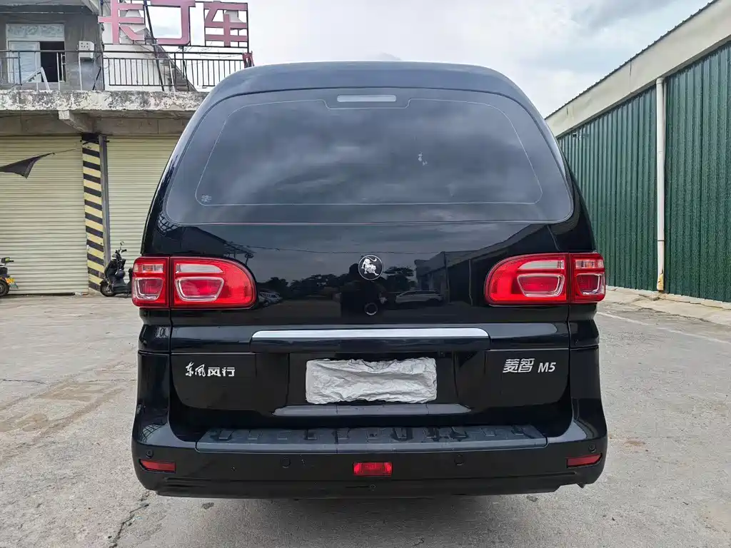 Fengxing Lingzhi 2023