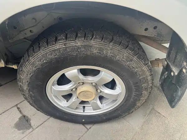 Dongfeng Ruiqi 2016