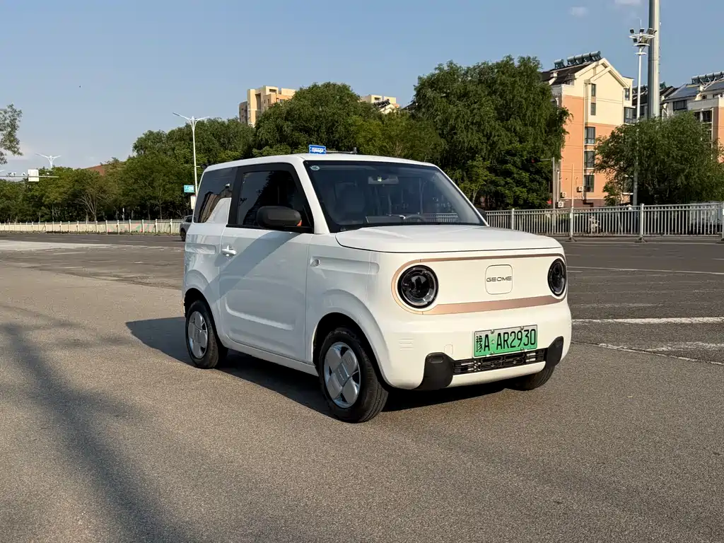 Galaxy Panda 2024