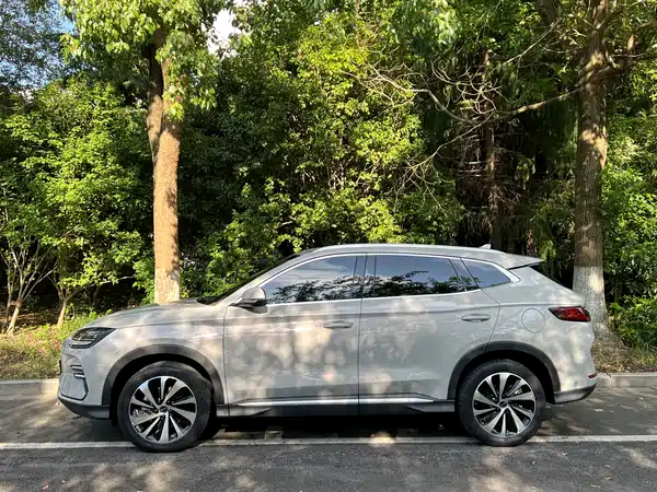 BYD Song PLUS New Energy 2024