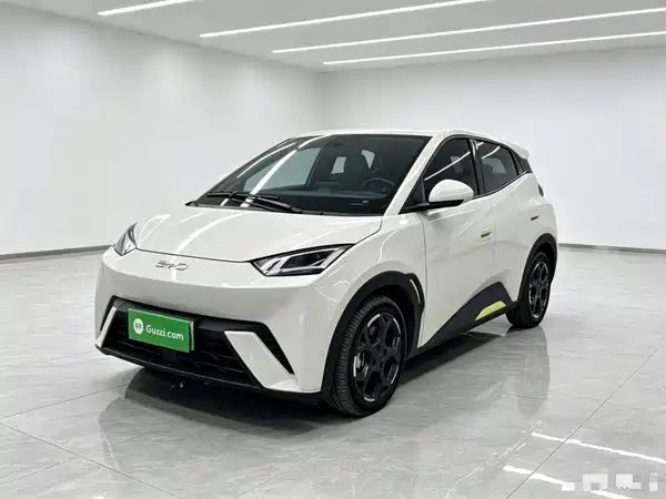 BYD Seagull 2024