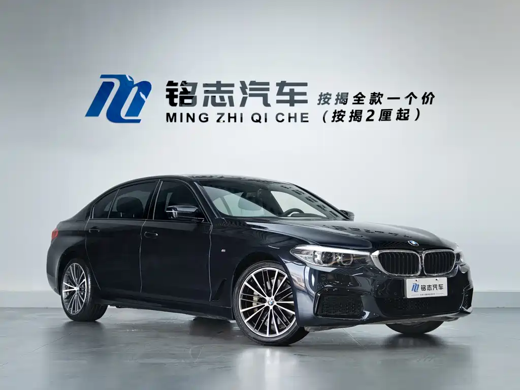 BMW 5 Series 2019