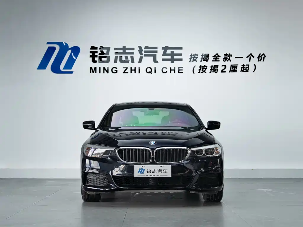 BMW 5 Series 2019