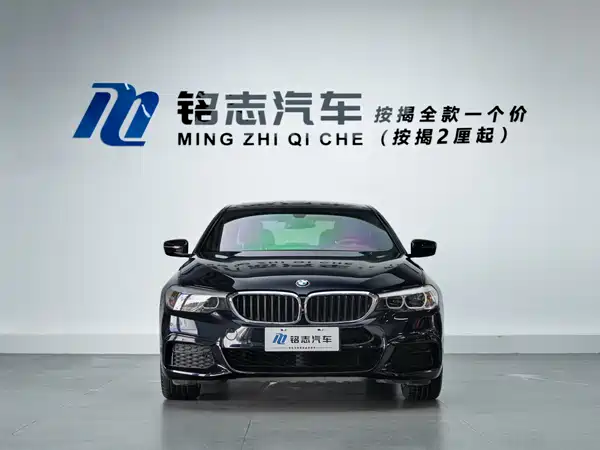 BMW 5 Series 2019