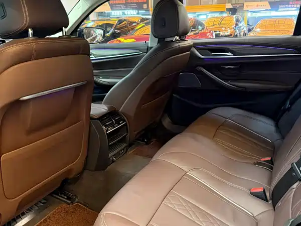 BMW 5 Series New Energy 2020