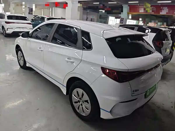 BYD e2 2022