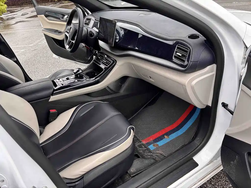BYD Qin PLUS 2021