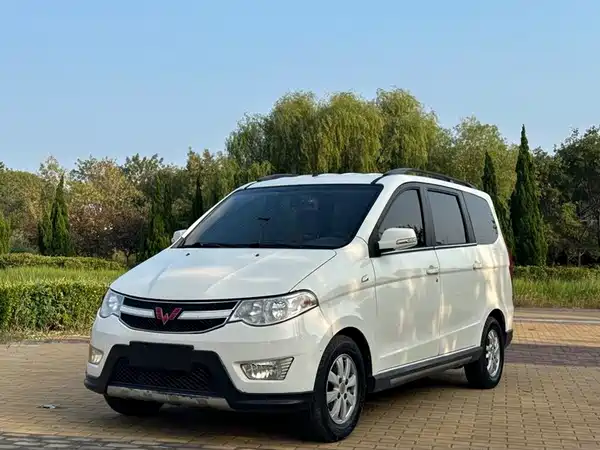 Wuling Hongguang 2014