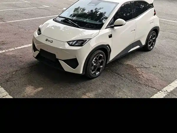 BYD Seagull 2025