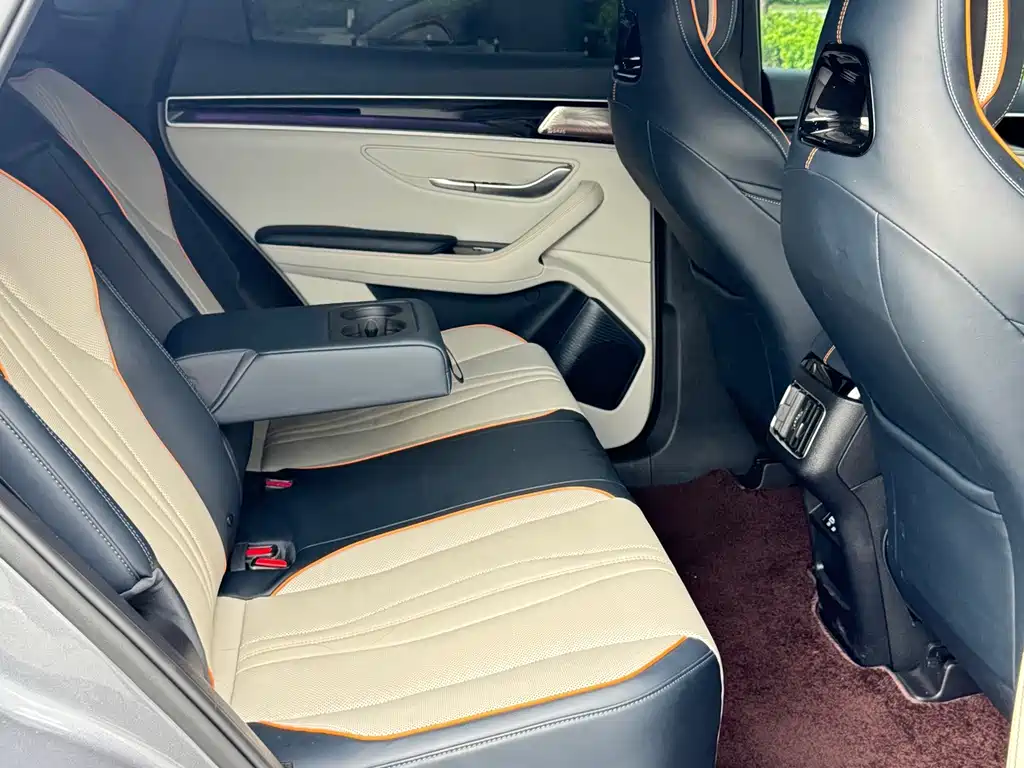 BYD Song PLUS New Energy 2023 — фото 11