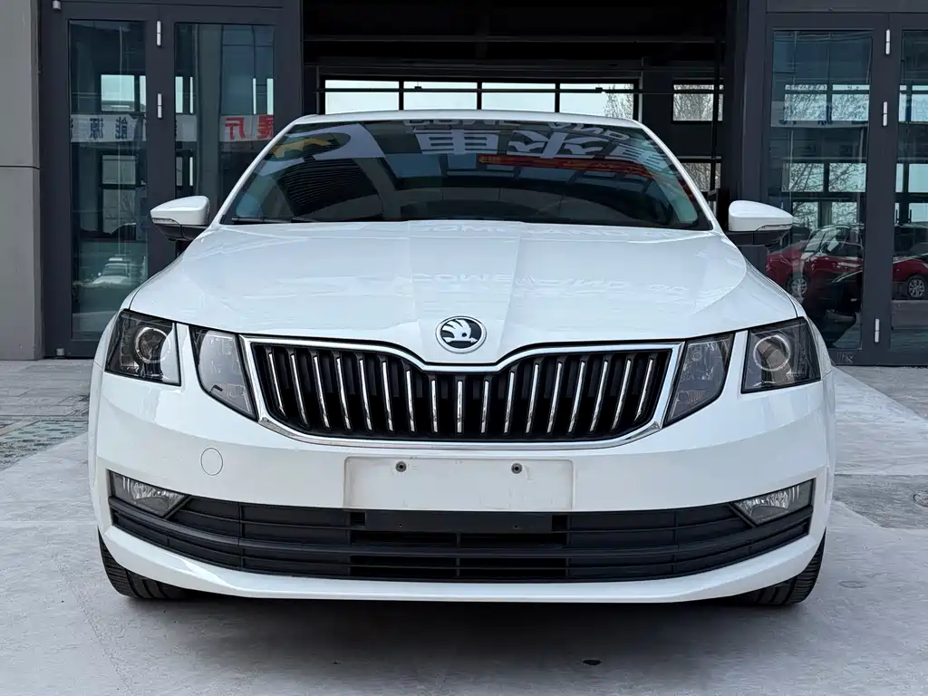 Skoda Octavia 2018 — фото 1