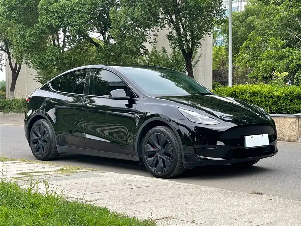 Tesla Model Y 2023 — фото 4