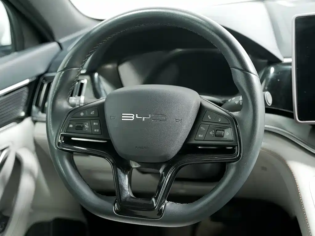 BYD PLUS New Energy 2024 — фото 5