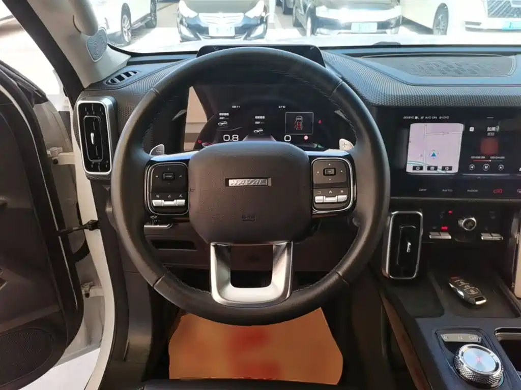 Haval Big Dog 2021 — фото 11