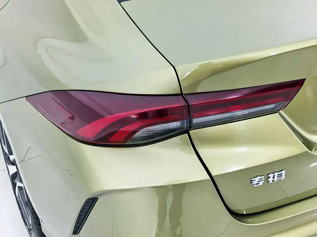 GAC Motor Shadow Leopard 2022 — фото 16