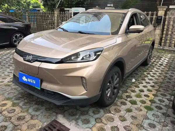 WM Motor EX5 2018