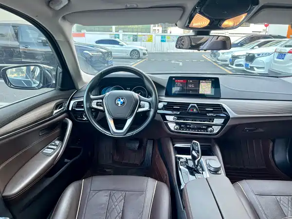 BMW 5 Series New Energy 2019