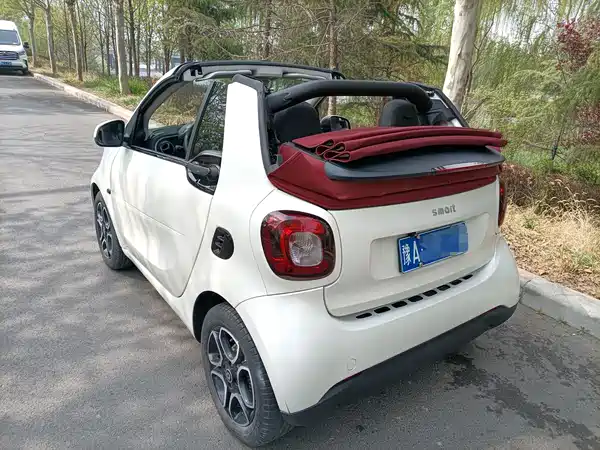 smart fortwo 2019