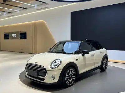MINI MINI 2020