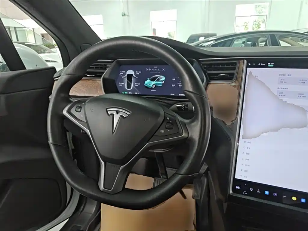 Tesla Model X 2021 — фото 11