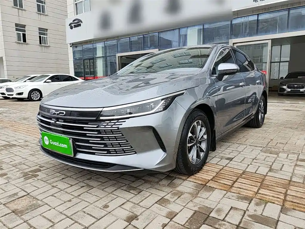BYD Destroyer 05 2024 — фото 2