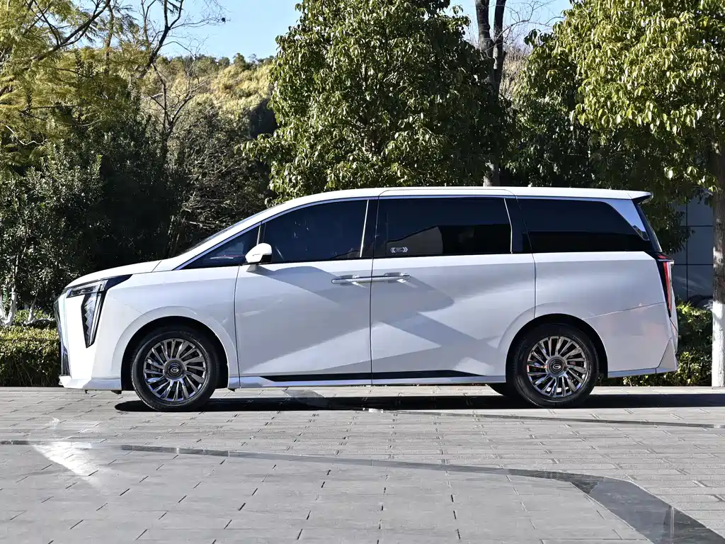 GAC Motor Trumpchi M8 2023 — фото 7