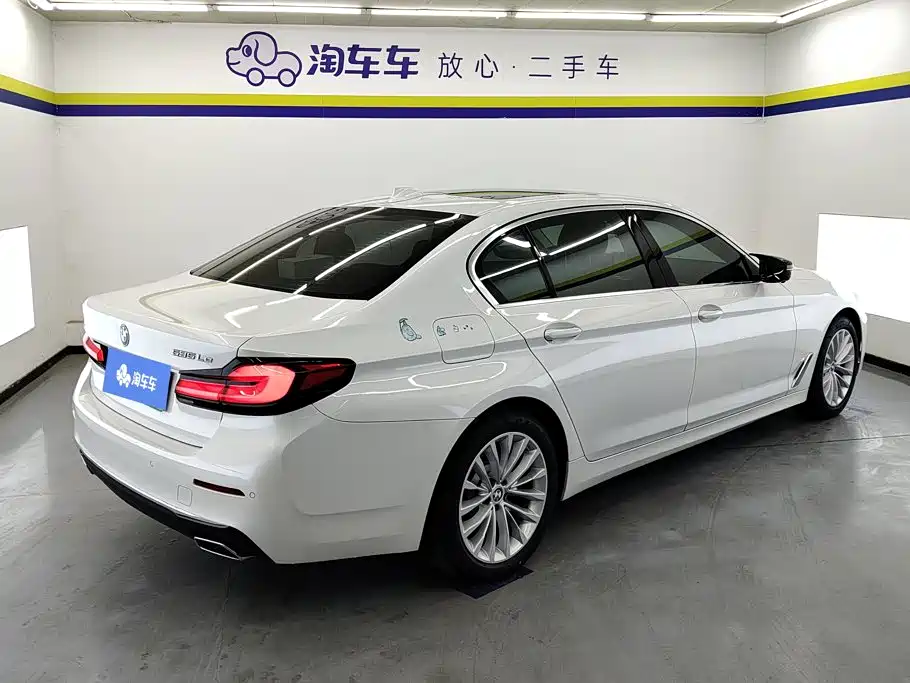 BMW 5 Series New Energy 2021