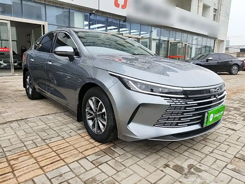 BYD Destroyer 05 2024 — фото 4