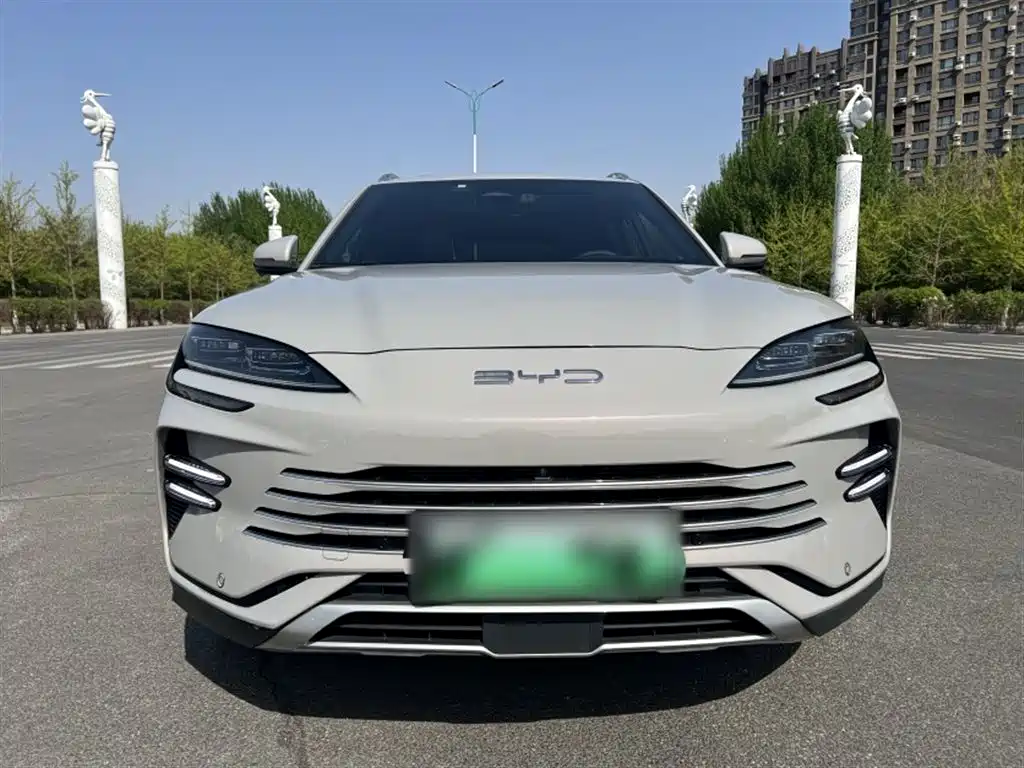 BYD PLUS New Energy 2023 — фото 25
