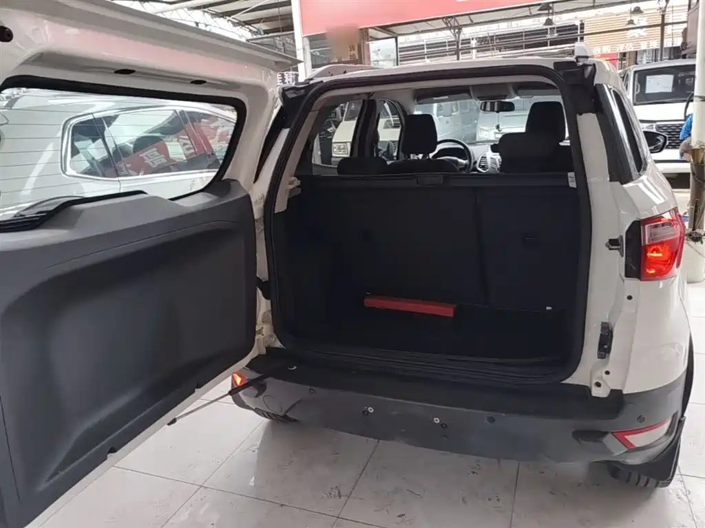 Ford Ecosport 2014 — фото 19