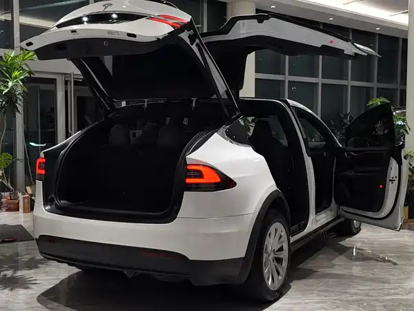 Tesla Model X 2019