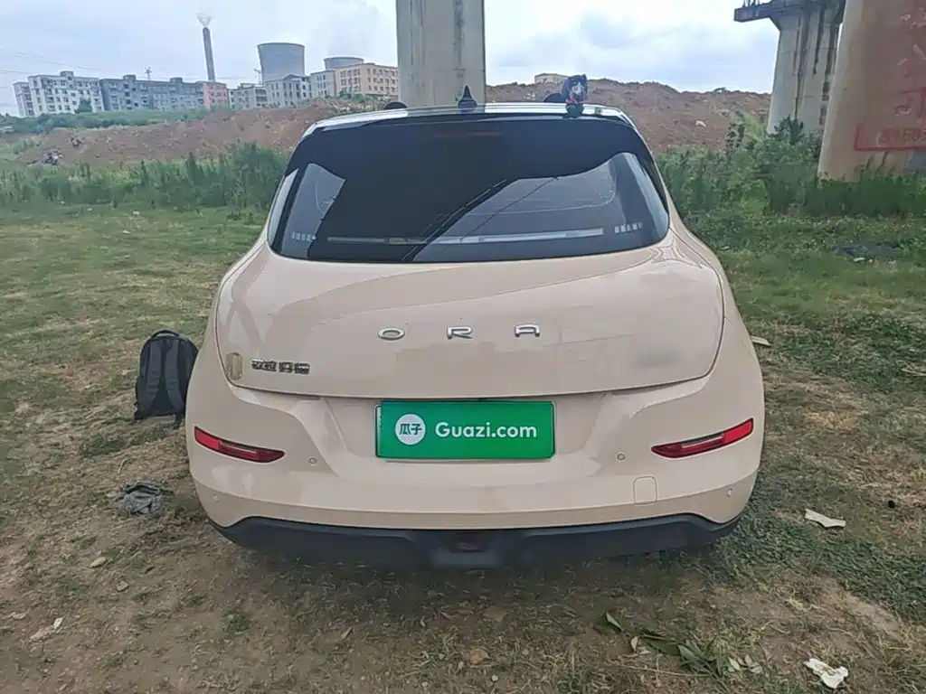 Ora Good Cat 2021