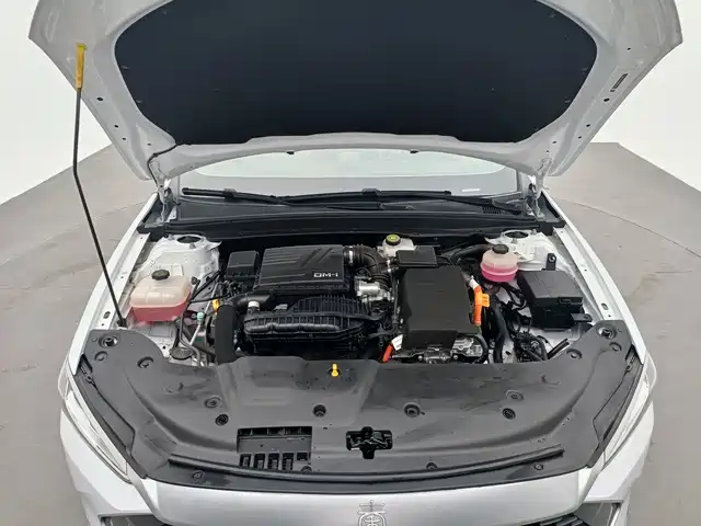 BYD Qin PLUS 2024