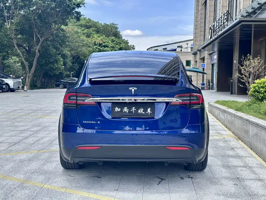 Tesla Model X 2016 — фото 8