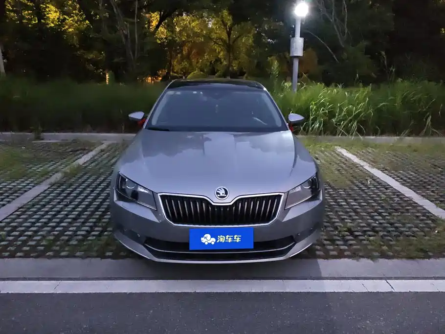 Skoda Speedy 2017