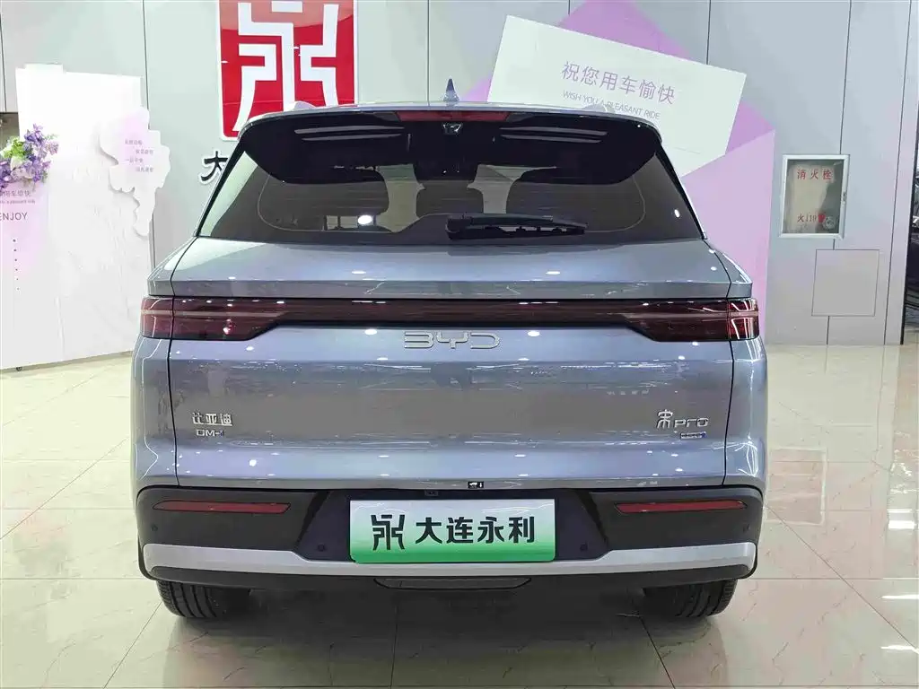 BYD Pro New Energy 2025 — фото 5