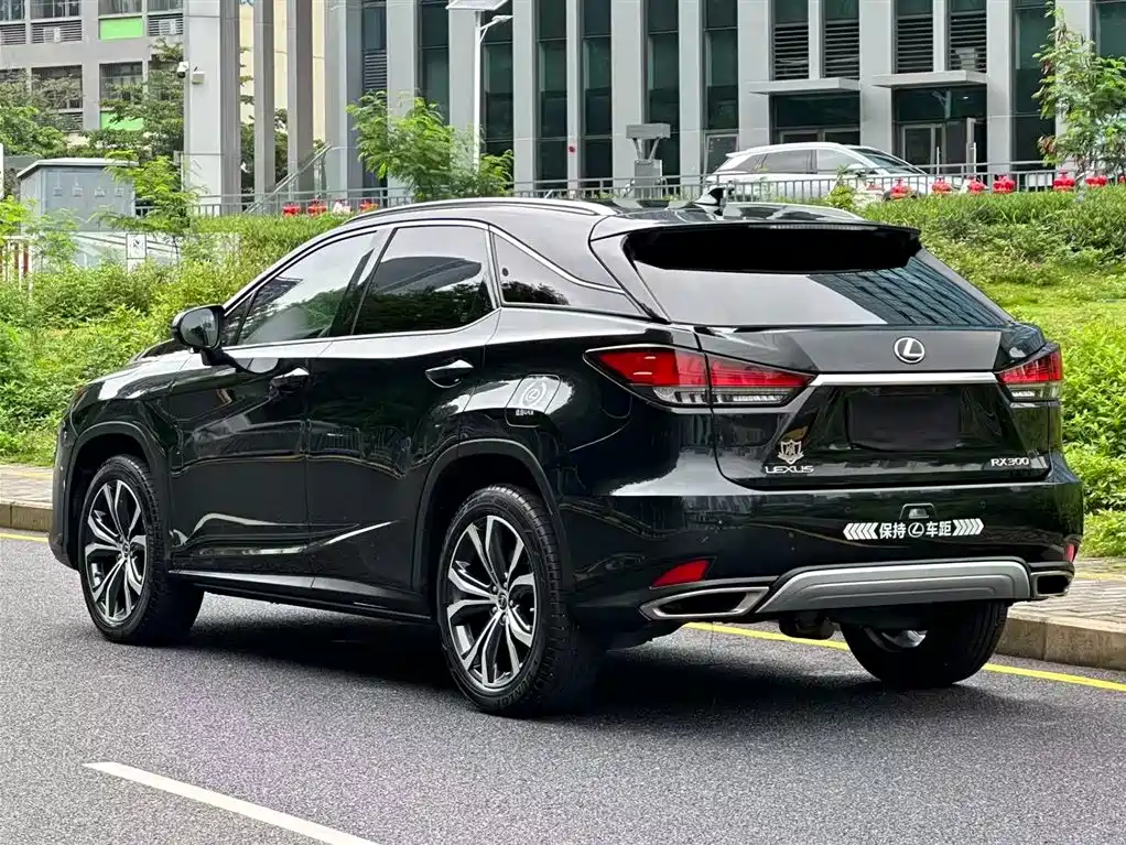 Lexus RX 2022 — фото 5