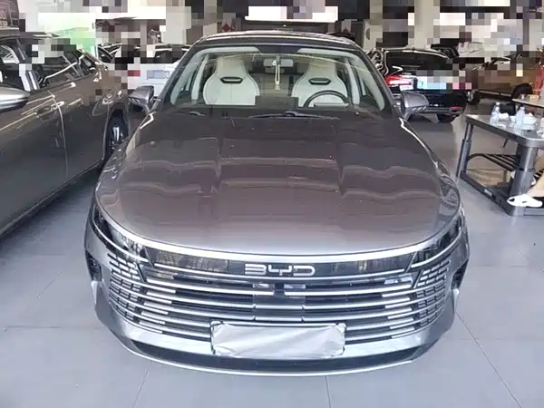 BYD Destroyer 05 2024