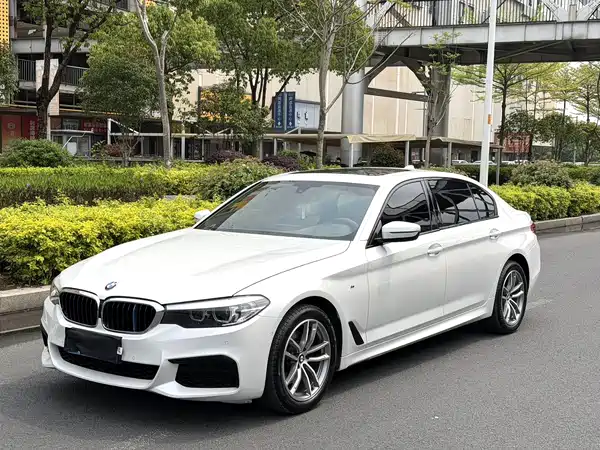 BMW 5 Series 2020