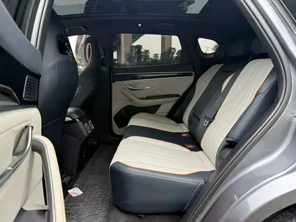 BYD Song PLUS New Energy 2024