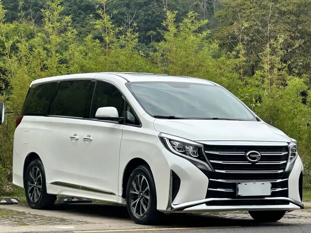 GAC Motor Trumpchi M8 2021 — фото 3