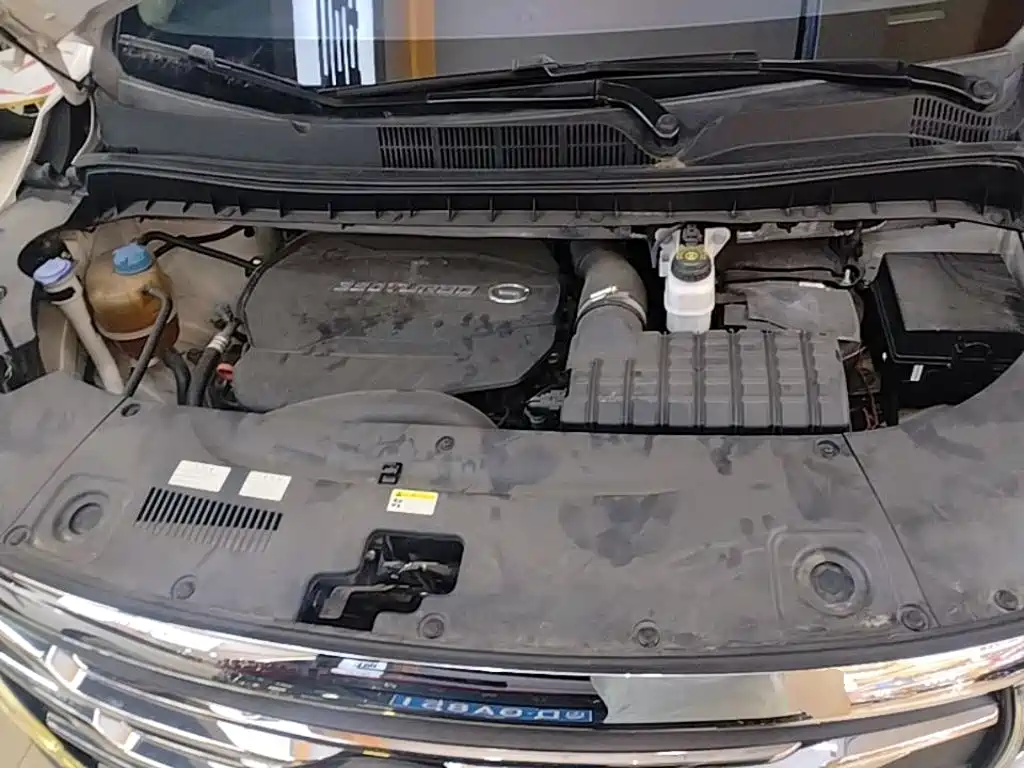 GAC Motor Trumpchi M8 2020 — фото 20