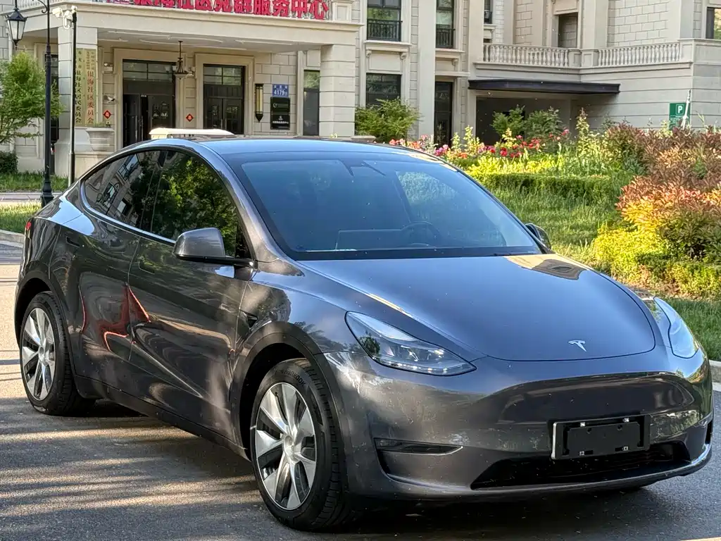 Tesla Model Y 2021 — фото 3