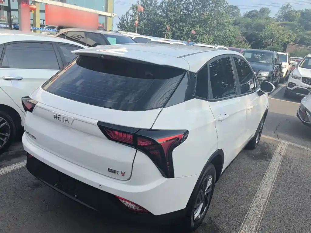 Neta V 2021