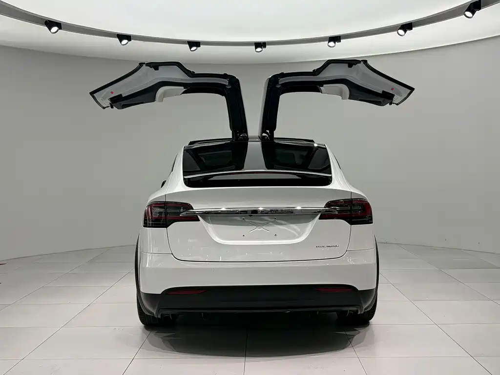 Tesla Model X 2019