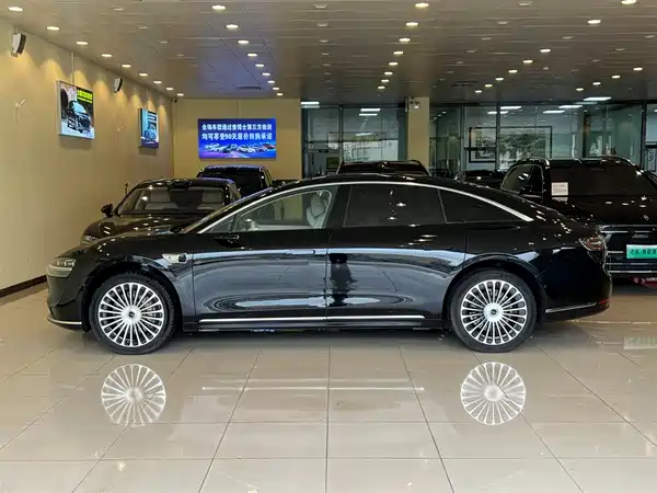 Stelato S9 2025